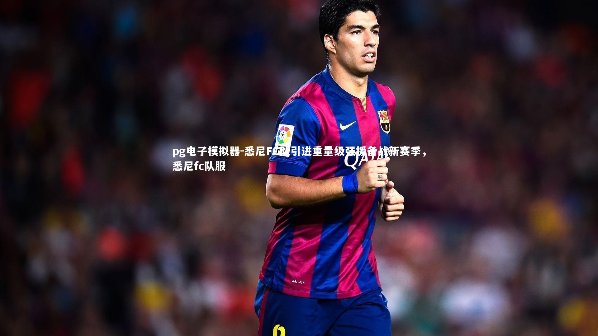 悉尼FC队引进重量级强援备战新赛季，悉尼fc队服