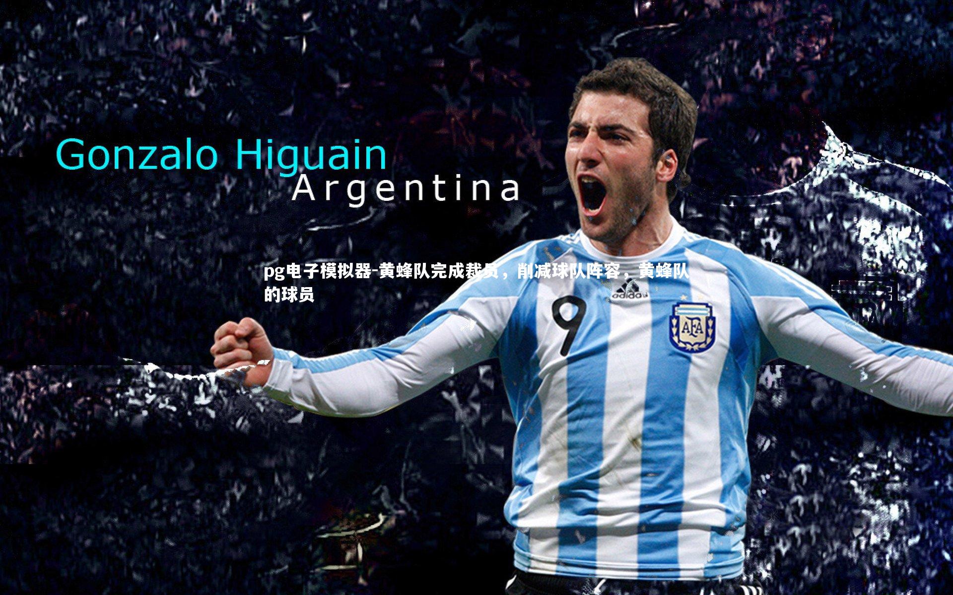 pg电子模拟器-黄蜂队完成裁员，削减球队阵容，黄蜂队的球员